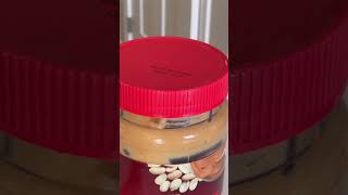 Pill in Peanut Butter Trick dog puggle pets [upl. by Eneloc123]