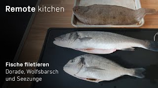 Fische filetieren 🐟 Dorade Wolfsbarsch und Seezunge  Remote kitchen [upl. by Mailli]