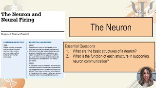 Biological Basis of Behavior The Neuron [upl. by Ytineres]