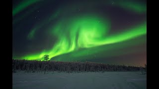 Живое видео северного сияние в Мурманске  Live video of the Northern Lights in Murmansk Russia [upl. by Aimo]