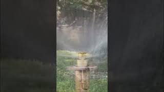 Spray Head Shorts on Antique Sprinklers  Weathermatic Brass Spray Head Sprinkler with 520H Nozzle [upl. by Retrak235]