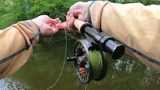 Great Dry Fly Rainbow Trout action under some trees  Musconetcong River quotMuskyquot [upl. by Salter]