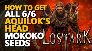 All Aquiloks Head Mokoko Seeds Lost Ark 6 [upl. by Gregorio585]