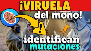 IDENTIFICAN MUTACIONES EN VIRUELA MONO [upl. by Goodson13]