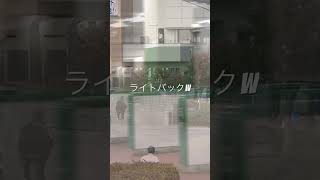 202491 新潟記念ライトバック放馬ライトバックする 競馬 競馬予想 新潟記念 ライトバック 競馬ライブ [upl. by Nat417]