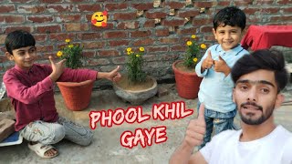 Mashallah bhat pyare phool khile Gaye 🥰 ll Pakistani vlog video [upl. by Asirrom]