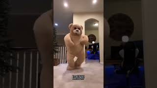 Funny bear dancing lily13457 funnyvideo [upl. by Yeuh]