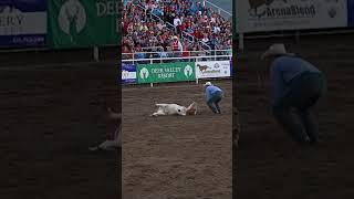 Steer Wrestling rodeo cowboy misses steer shorts [upl. by Shelia]