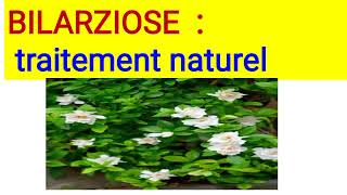 BILHARZIOSE  Traitement naturel [upl. by Wey616]