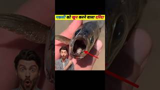 ईए है मछली का असली दुश्मन😱🤯 shorts facts youtubeshorts [upl. by Aoniak309]