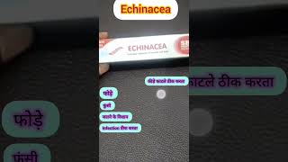 Echinacea ointment homoeopathic in Hindi for wound boil insect biteburn antiseptic cream shorts [upl. by Nairot]