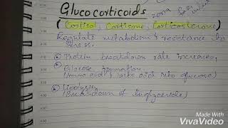 What are glucocorticoids [upl. by Travers]