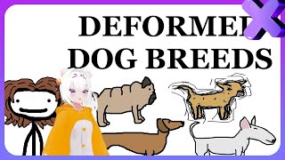 Filian Reacts to Dog Breed Deformities  Sam ONella Academy [upl. by Mathe]