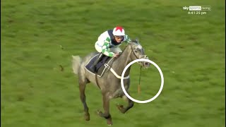 Amazing Jockey wins horse race with broken rein [upl. by Goodson]