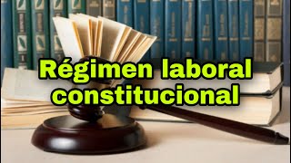 Régimen laboral constitucional  Su fundamento legal y leyes reglamentarias [upl. by Smalley758]