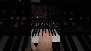 KORG minilogue xd  Moog subsequent 37 synthesizer electronicmusic sounddesign music [upl. by Sucirdor]