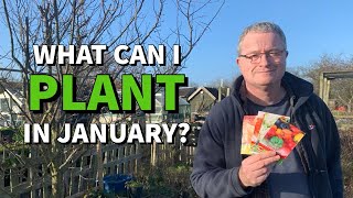 What can I plant in January  Seeds to sow in January [upl. by Eicart]