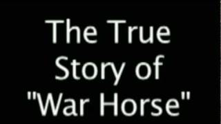 War Horse  The True Story [upl. by Pierre]