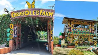 EXPLORING GIRASOLES FARM CANDELARIA QUEZON  TRAVEL PH [upl. by Htir]