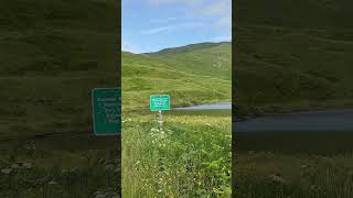 Eagle in Unalaska [upl. by Kinny]