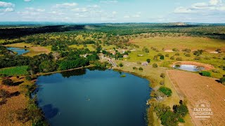 Fazenda Pindaíbas em CurveloMG [upl. by Dnomsed]