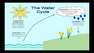 5 Minute Science The Water Cycle Understanding MSESS24 [upl. by Carrick746]