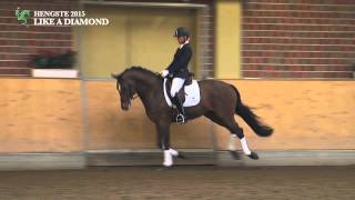 Hengst LIKE A DIAMOND NRW v Laureus x Lord Sinclair I 2010 [upl. by Gavra]