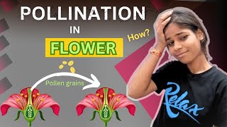 Pollination in Flowers  Reproduction class 10  Reproduction in plants  MRAs [upl. by Aubrie614]