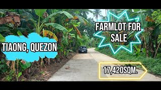 Vlog 45 FARMLOT FOR SALE  TIAONG QUEZON  17420 SQM [upl. by Gaelan5]