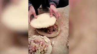 Viral Afghan grape preservation technique called “Kangina” explained [upl. by Nnyledam]