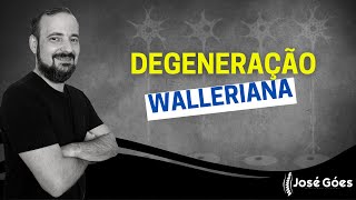 Degeneração Walleriana  José Góes [upl. by Fish]