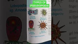 TYPES OF PSEUDOPODIA [upl. by Clougher]