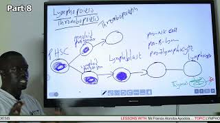 Lymphopoiesis and Thrombopiesis Part 8 [upl. by Chev]