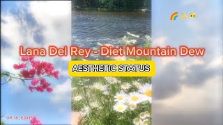 Lana Del Rey  Diet Mountain Dew • soft Aesthetic status 🌈✨😶‍🌫️ [upl. by Adnolat]