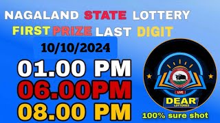 First Prize Last Digit 101024 Nagaland State Lottery Target Number Lottery Sambaed Target Number [upl. by Martreb171]