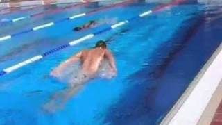 Hannants Butterfly Swimming Drill  2 Kick Pull [upl. by Georg515]