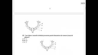 Test Examen Vanatoare  Intrebari 1100 [upl. by Mindy]