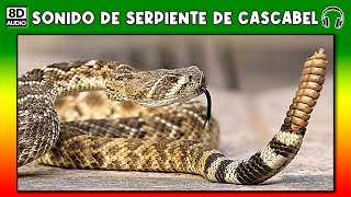 SONIDO DE SERPIENTE CASCABEL 🐍 [upl. by Ardnatal]