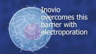 How Inovios DNA Vaccines are Delivered [upl. by Eislrahc]