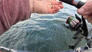 Cayuga Lake Sunday Afternoon Lake Trout Part 2 [upl. by Nednarb]