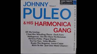 Johnny Puleo Volume 6 Sometimes 7 [upl. by Afton]