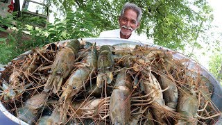 Big Shrimp Curry  Giant prawns Recipe  Yummy Prawns Recipe By Grandpa Kitchen [upl. by Sikes81]