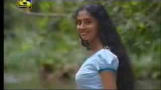 sinhala songs lassanai mage nage oya [upl. by Aillimac850]