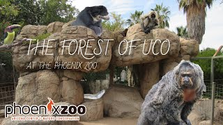 Forest of UCO at the Phoenix Zoo  Exhibit Tours Ep 32 [upl. by Nahpets346]