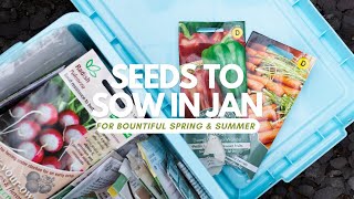 Seeds to Sow in January [upl. by Inneg652]