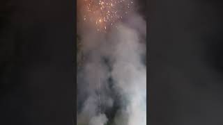 Wedding fireworks ytshorts shortvideowedding bengali [upl. by Rossi]