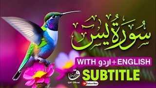 Surah Yasin  Surah Yaseen full  سورۃ یس  Surah Yasin full  with Urdu amp English translation [upl. by Rillis]