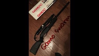 Sighting in the Gamo Swarm whisperreview [upl. by Asilim]