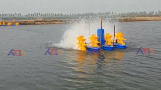 1 Hp 4 Paddle Wheel Aerator Performance [upl. by Saied]