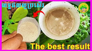 How to make organic Pesticides also fertilizer  របៀបធ្វើជី​ថ្នាំកំចាត់សត្វល្អិតសរីរាង្គ​ [upl. by Dannye256]